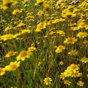 Meet your Posher, Rita